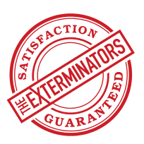 satisfaction guaranteed service